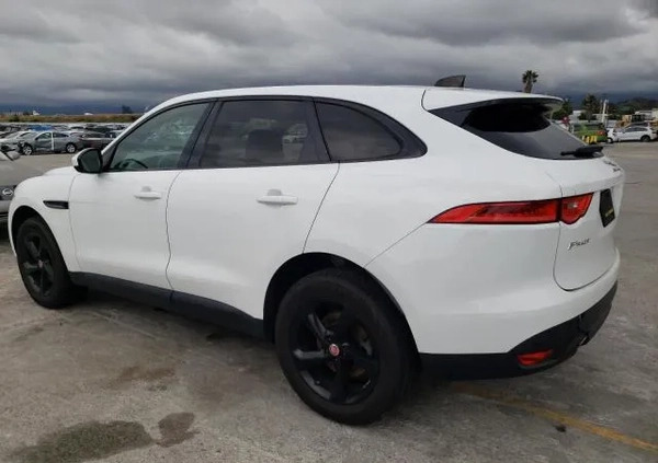 Jaguar F-Pace cena 69900 przebieg: 63418, rok produkcji 2019 z Chełm małe 56